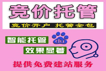 百度竞价优化技巧：成功案例分享